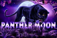 Гральний автомат panther-moon